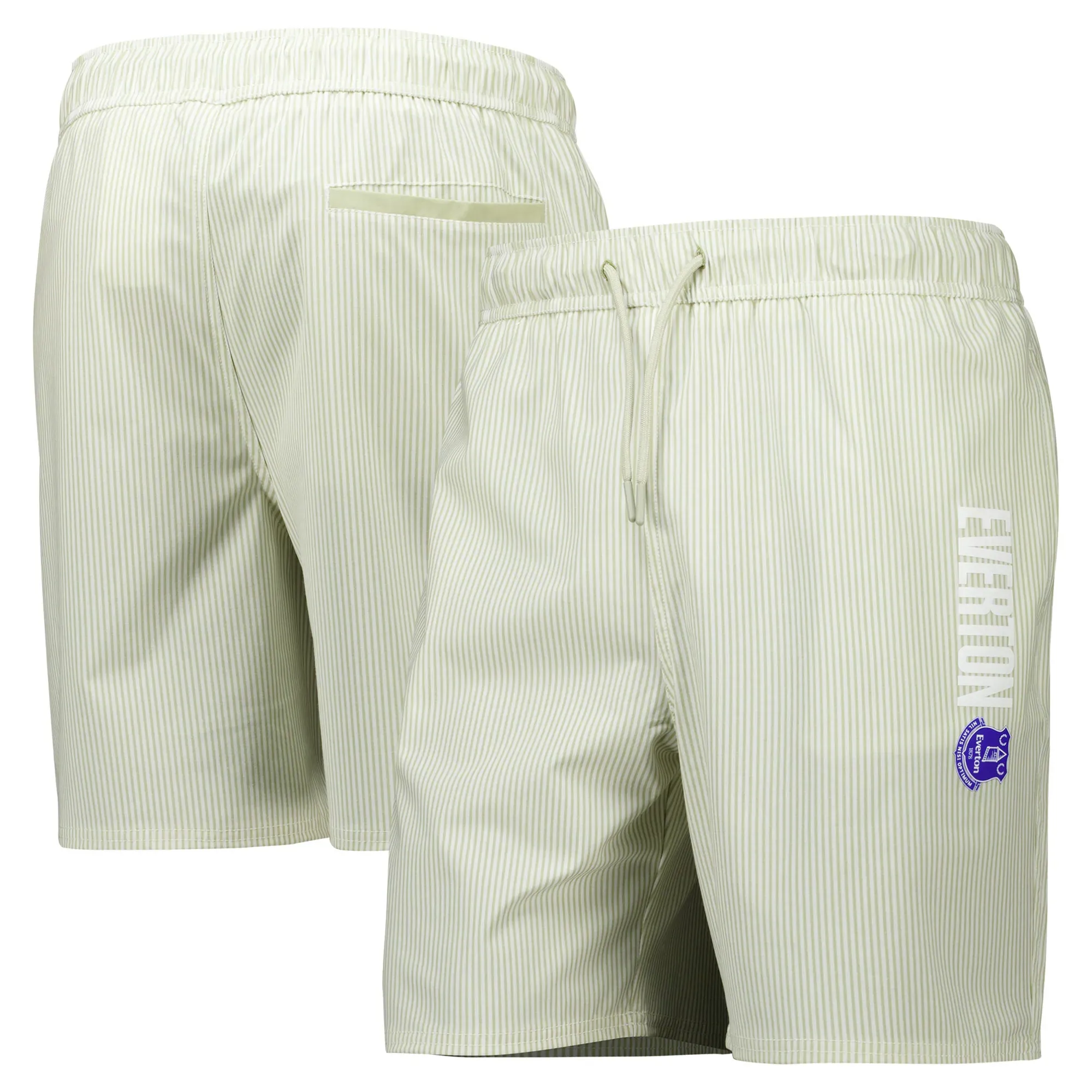 Everton Pin Stripe Swim Short - Sage Green - Mens