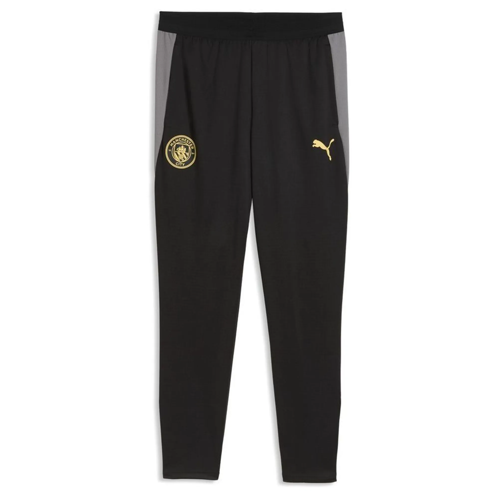 Puma Manchester City Slim Training Pants Men in Black | Size 3XL