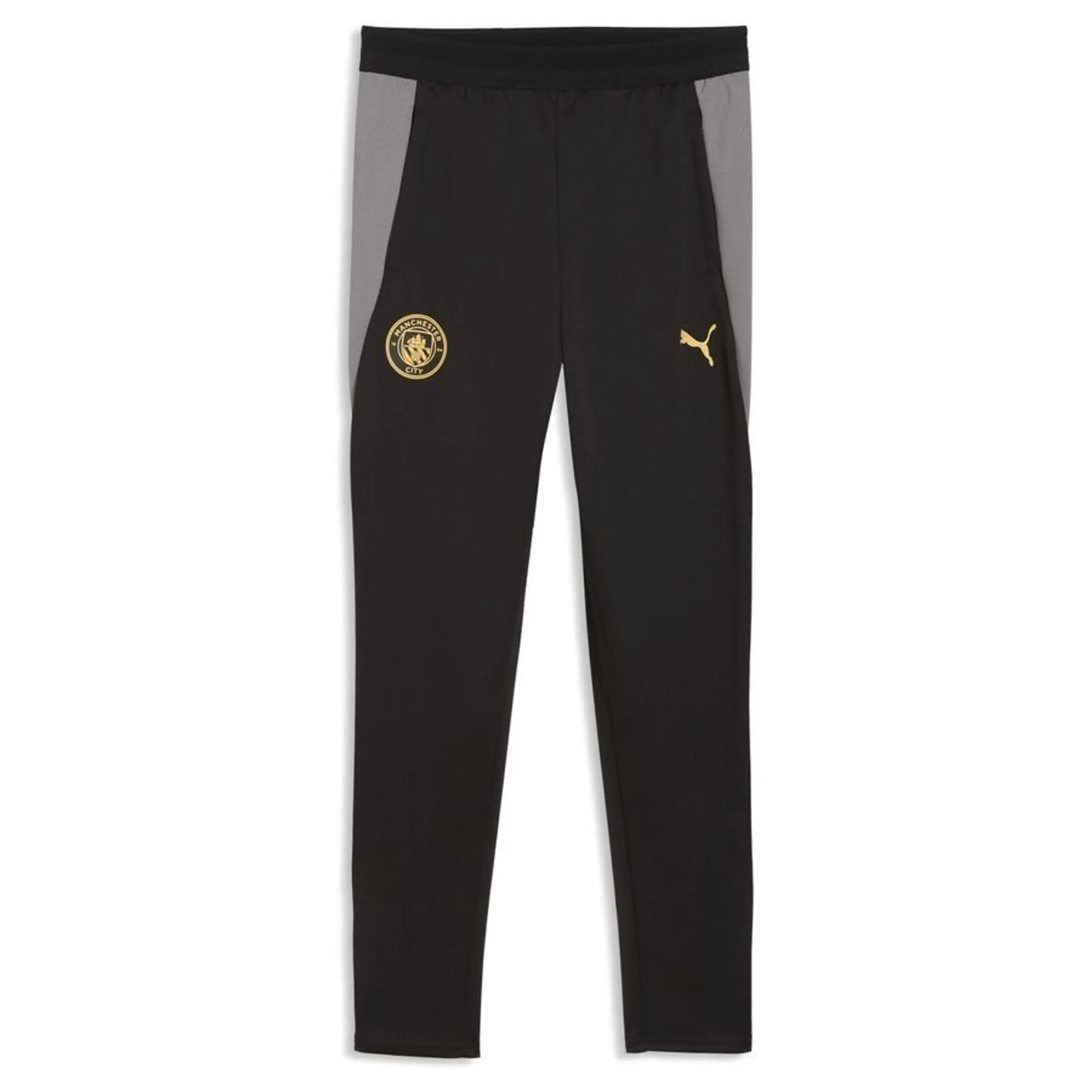 Puma Manchester City Training Pants Youth in Black | Size 11-12 Youth
