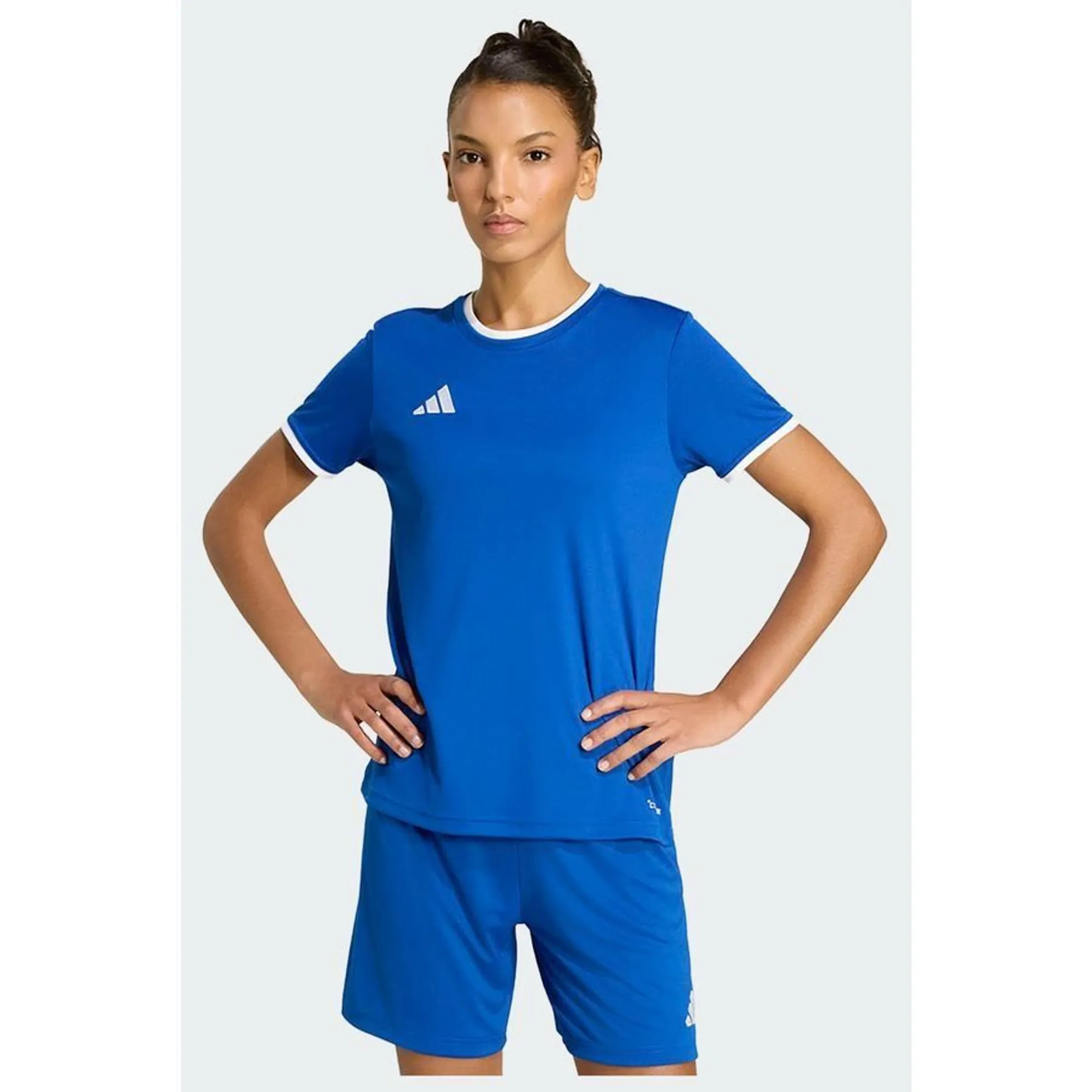 Adidas Training T-Shirt Entrada 26 - ['White', 'Blue']