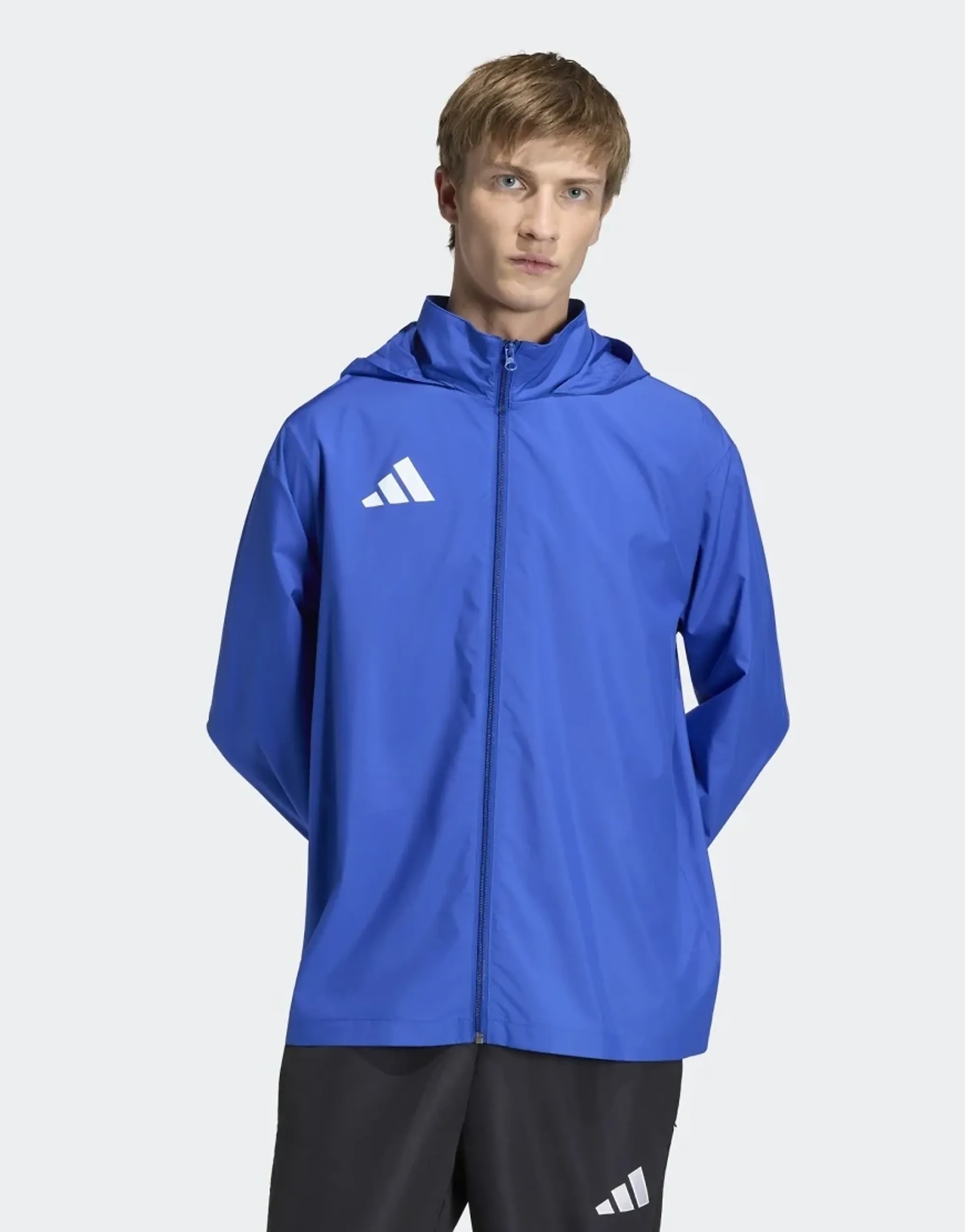 Adidas Performance Entrada 26 Multi Jacket In Royal Blue / White