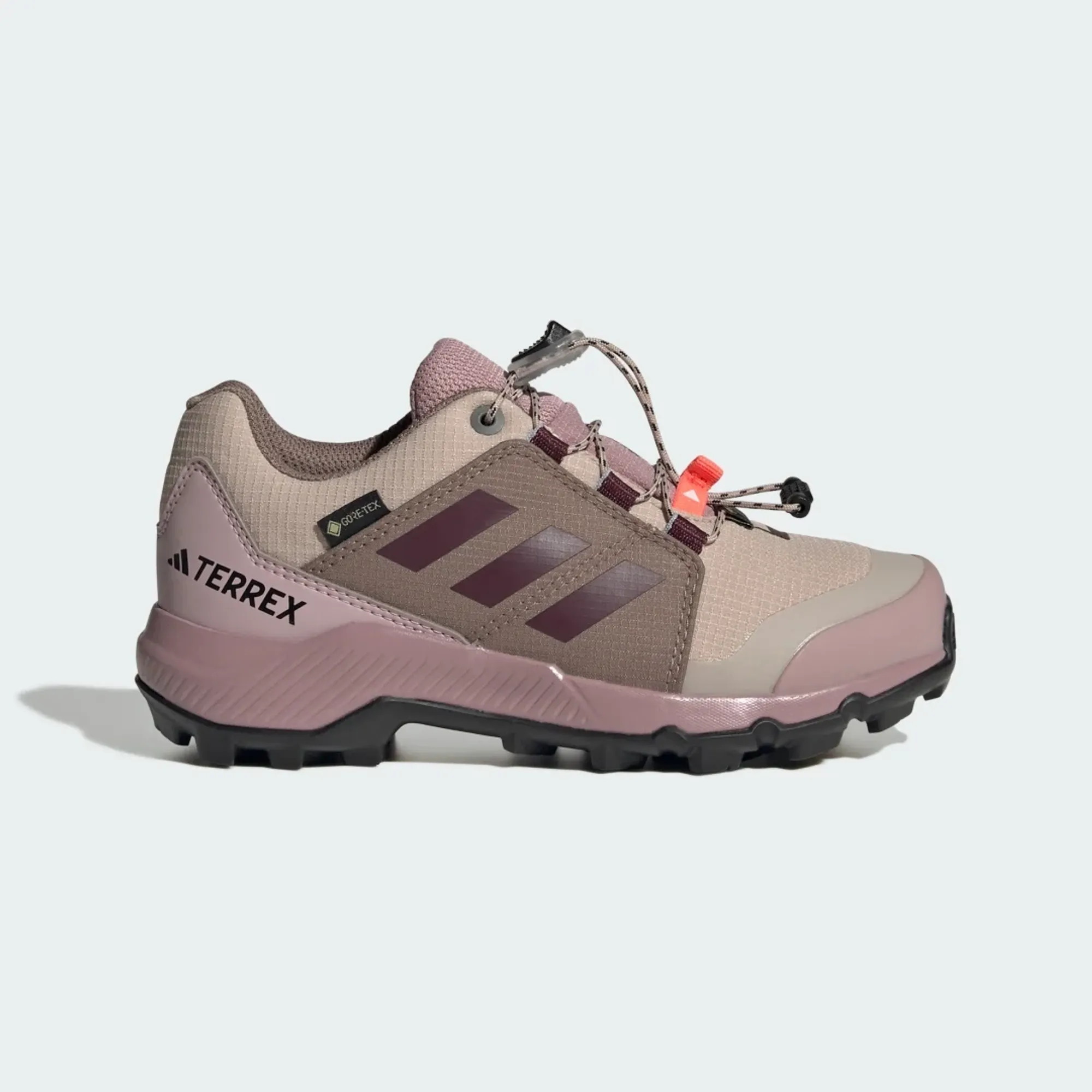adidas Terrex GORE-TEX Hiking Shoes