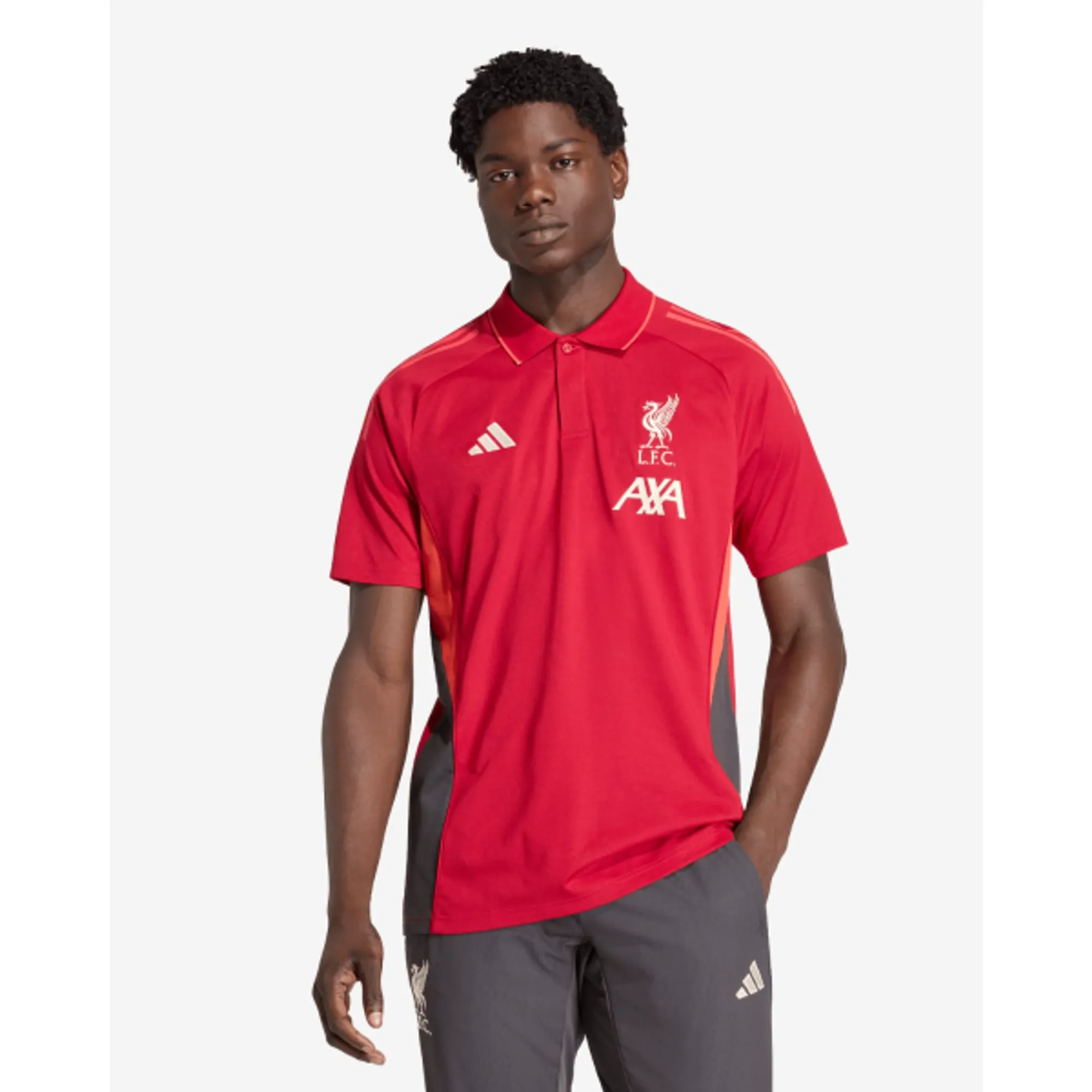 LFC adidas Mens 25/26 Training Polo Red
