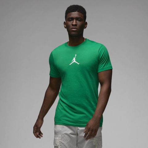 Nike Jordan Jordan Jumpman Logo T-Shirt In Green | CW5190-310 | FOOTY.COM